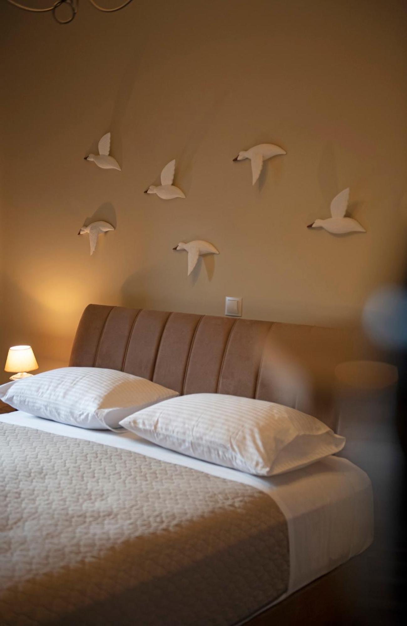 Seagulls' House Apartment Евдилос Екстериор снимка