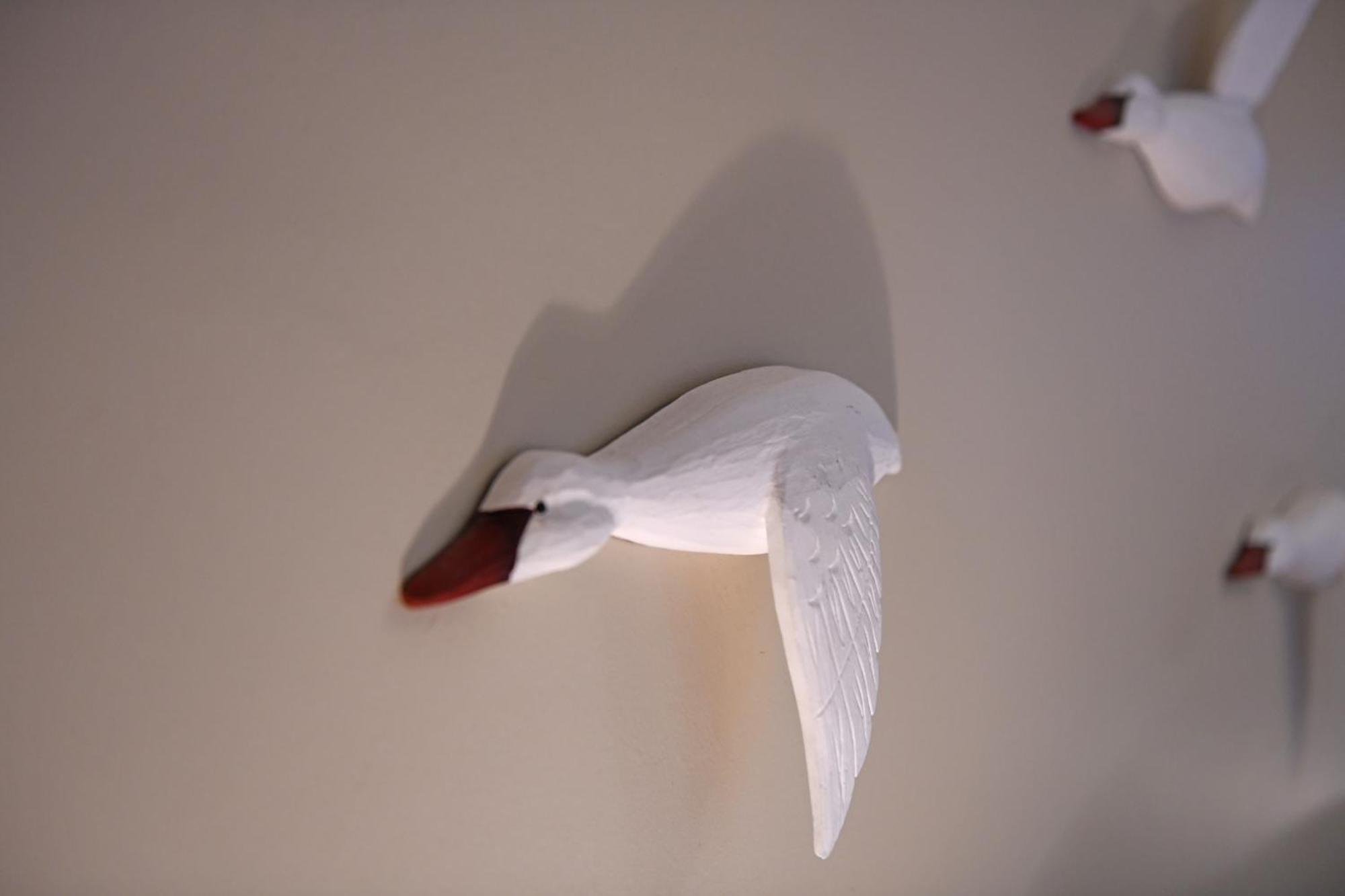 Seagulls' House Apartment Евдилос Екстериор снимка